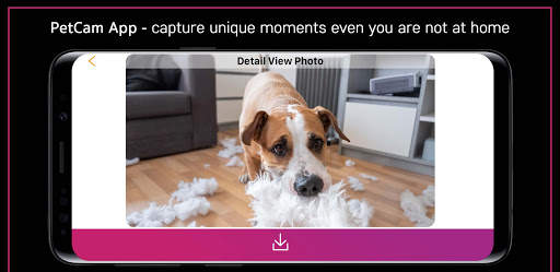 PetCam App - Dog Camera App screenshot 6