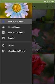Beautifull Flower Wallpaper screenshot 1