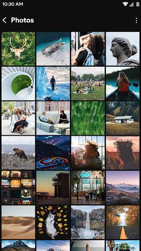 Gallery screenshot 2