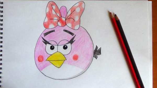 How to draw Birds Angry screenshot 2