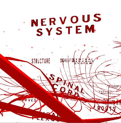 Nervous System 3D screenshot 1