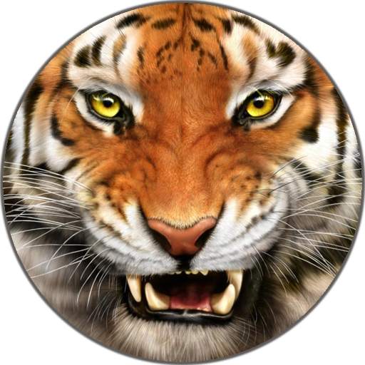 Tiger Sounds and Ringtone 2.0