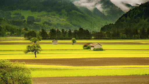 10000  Nature Wallpapers HD (Offline) screenshot 2