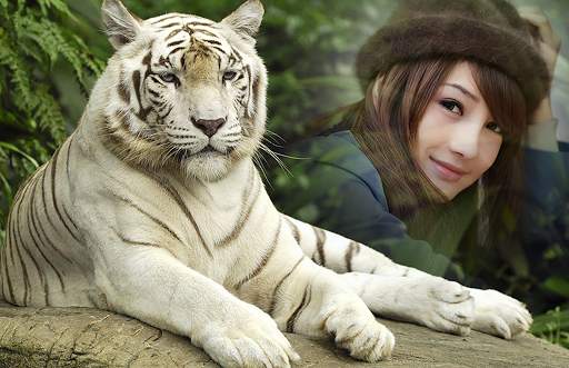 Animal Photo Frames screenshot 2