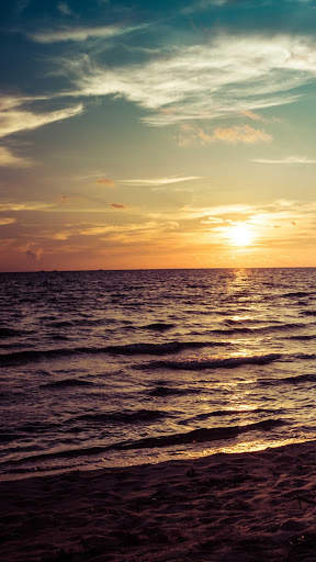 Summer Wallpapers : backgrounds hd screenshot 7