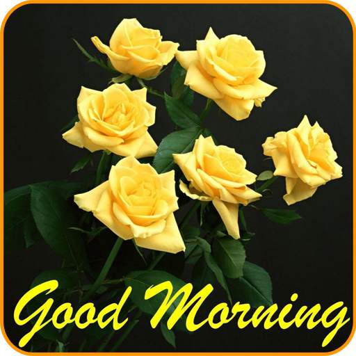 Good morning Images Gifs, Flowers Roses wallpapers 2.5.5