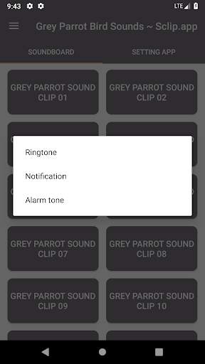 Grey Parrot Bird Sound Collections ~ Sclip.app screenshot 3