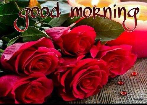 Good Morning Images Gif Animated Flower  Roses 4K screenshot 3