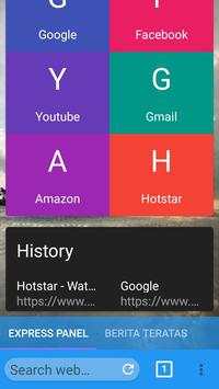 Googs Browser screenshot 2