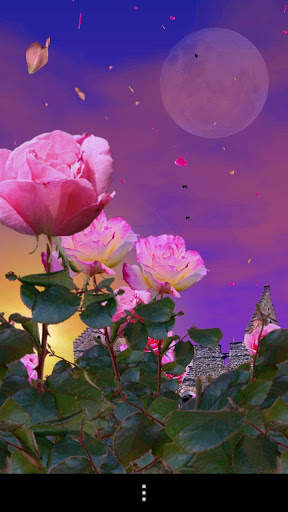 Rose Garden Free LWP screenshot 5