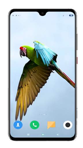 Bird Wallpaper 4K स्क्रीनशॉट 7