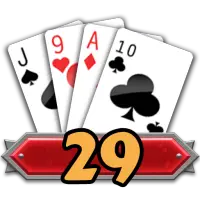 29 Card Game Challenge أيقونة