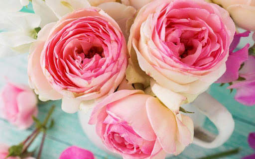 Pink Rose Wallpapers screenshot 7