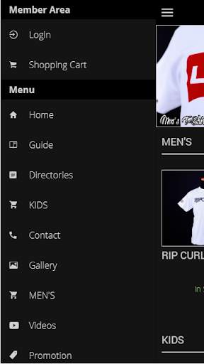 zyman&co screenshot 2