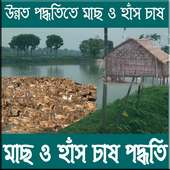 মাছ ও হাঁস চাষ পদ্ধতি on 9Apps