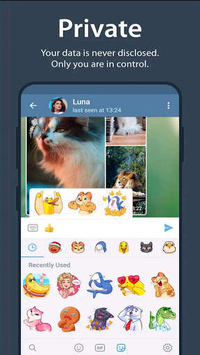 Encrypted messenger (2021) screenshot 3