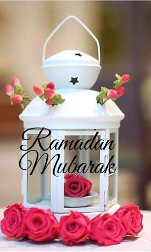 Ramadan Mubarak Wallpapers screenshot 16