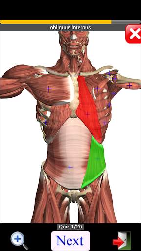 Anatomy Quiz screenshot 4