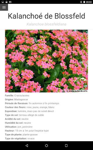 Au Cactus screenshot 11