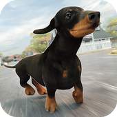 Skateboard Chase Escape Run 1.0.0