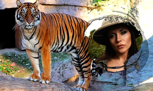 Tiger Photo Frames screenshot 8