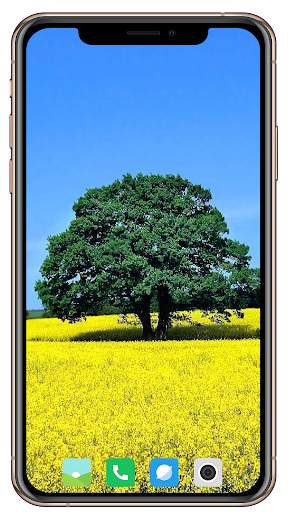 Tree Wallpaper screenshot 7