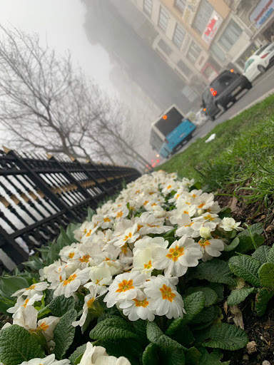 خلفيات شاشة 4 تصوير الشاشة