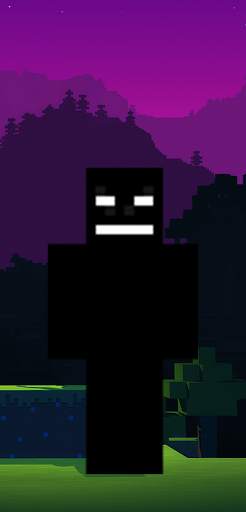 invisible Minecraft Skin screenshot 5