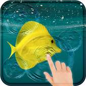 Fish Live Wallpaper: Magic Touch Effect 1.0