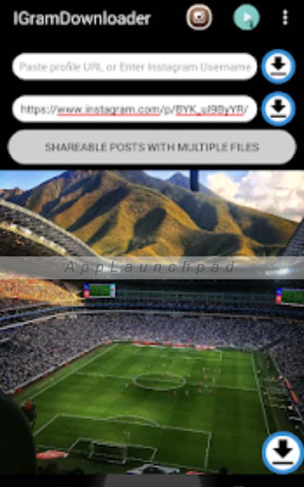 Downloader for Instagram screenshot 9