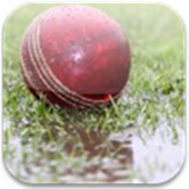 DL Calculator for Cricket icon
