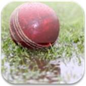 DL Calculator for Cricket 3.8