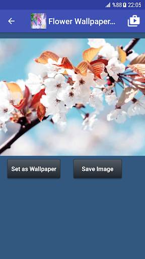 Flower Wallpapers screenshot 2