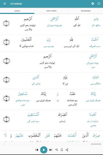 Learn Quran скриншот 10