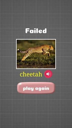 Animal Play скриншот 5