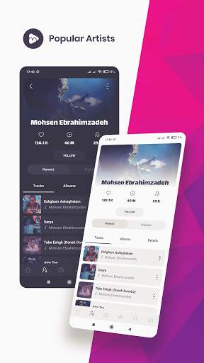 MrTehran - Persian Music screenshot 2