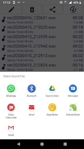 Sound Recorder PCM screenshot 7