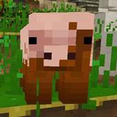 Mini Craft: Adventures 1.9
