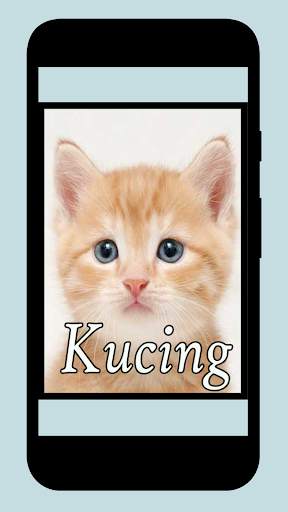 SUARA KUCING TERBAIK screenshot 5