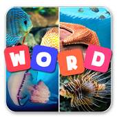4 Pics One Word 1.6
