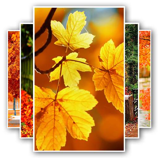 Free Autumn Wallpaper 1.0.8