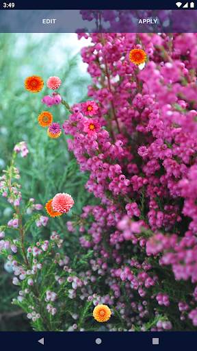 Autumn Flowers Live Wallpaper screenshot 5