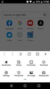Web Browser screenshot 4