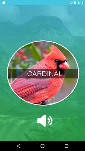 Birds Sounds App स्क्रीनशॉट 4