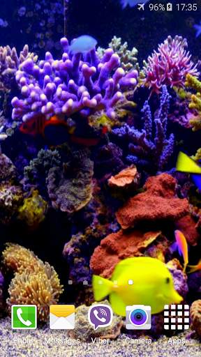 Aquarium 4K Video Wallpaper screenshot 3