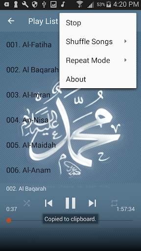 Saad Al Ghamidi Offline MP3 screenshot 10
