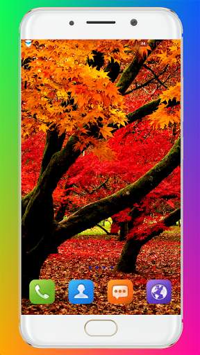 Autumn Wallpaper HD screenshot 15
