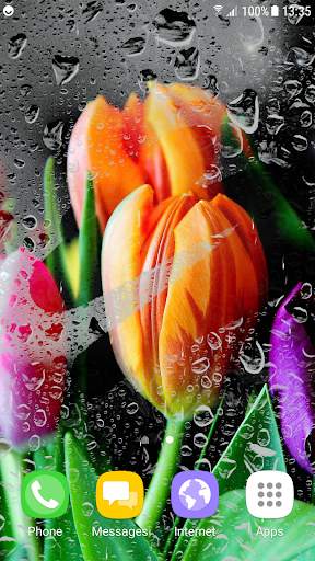Tulips Live Wallpaper screenshot 4