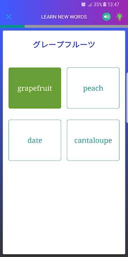 English Picture Vocabulary Rocket screenshot 7