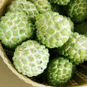Custard Apple icon